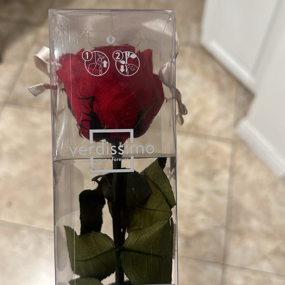 Verdissimo Preserved Rose - Picture 2 of 5